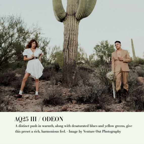 Archipelago - Quest 23 Odeon Presets