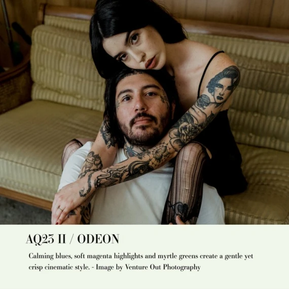 Archipelago - Quest 23 Odeon Presets