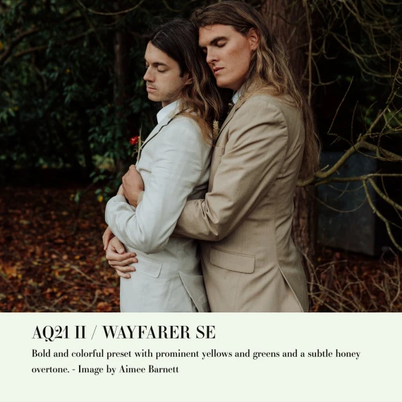 Archipelago - Quest 21 Wayfarer Se Presets