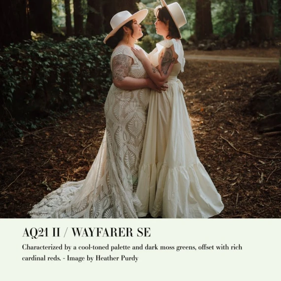 Archipelago - Quest 21 Wayfarer Se Presets