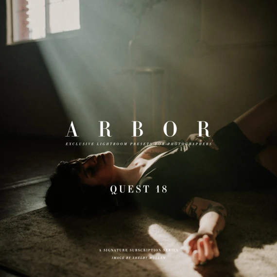 Archipelago - Quest 18 Arbor Presets