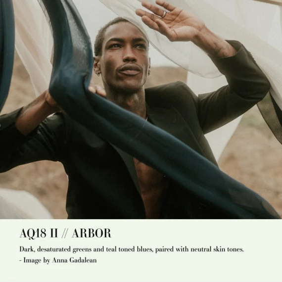 Archipelago - Quest 18 Arbor Presets