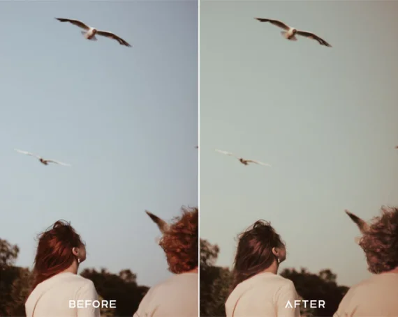 35MM Preset and LUTs Collection