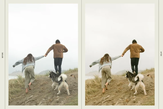 Dawn Charles - Dc Presets Pack Three