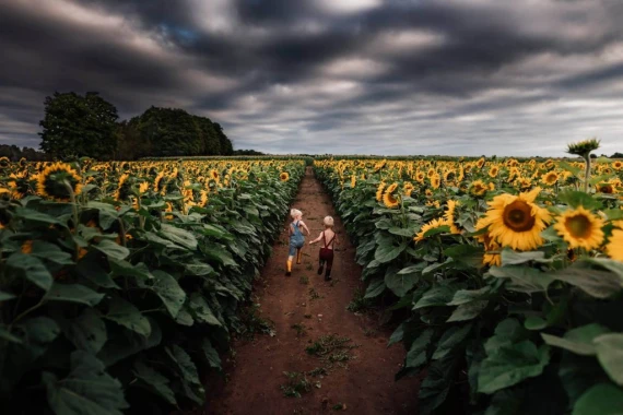 Meridian Presets -  Solstice