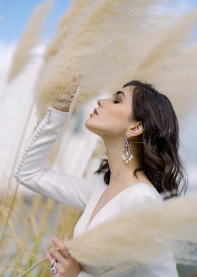 Meridian Presets - Aether