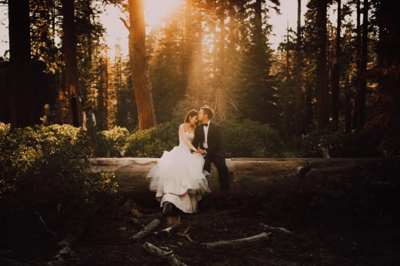 Meridian Presets - C&A