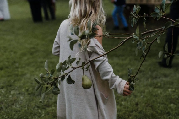 Meridian Presets - Slate & Ivory 2.0