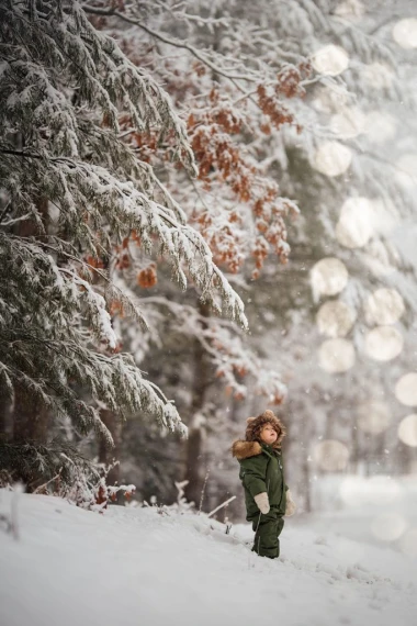 Meridian Presets - Sphaera