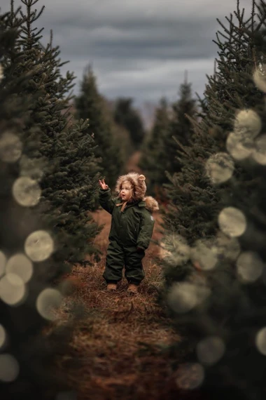 Meridian Presets - Sphaera