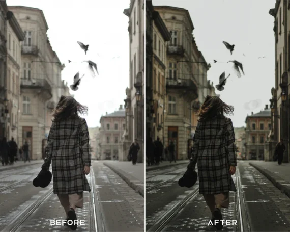 Aesthetic Presets and LUTs Collection