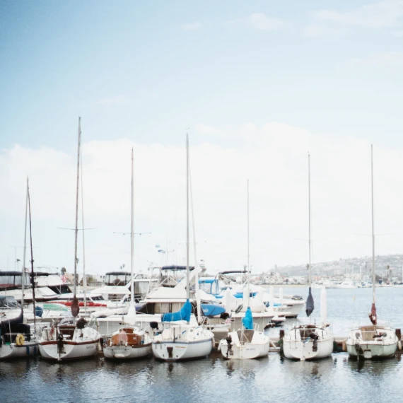 The Archetype Process - The Film Grain