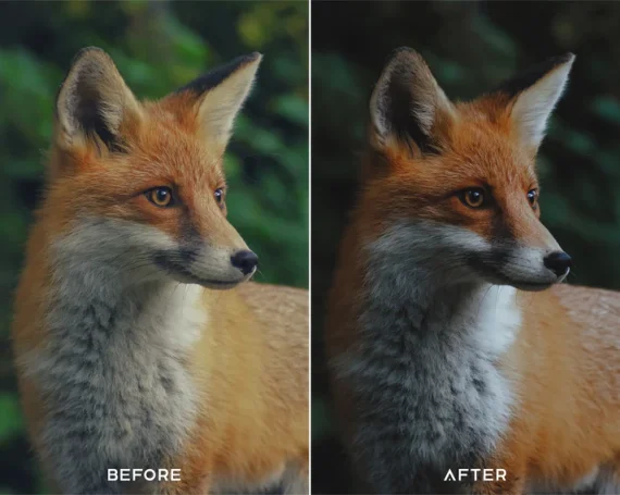 Cinematic Green Preset and LUTs Collection