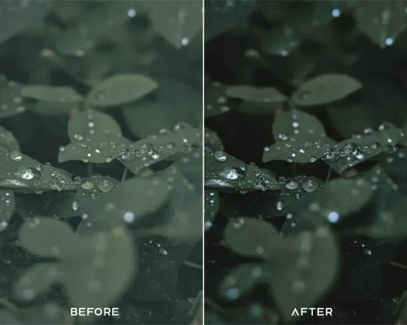 Cinematic Green Preset and LUTs Collection