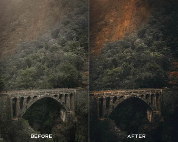 Cinematic Preset and LUTs Collection