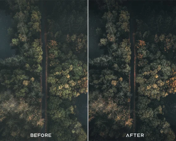 Cinematic Preset and LUTs Collection