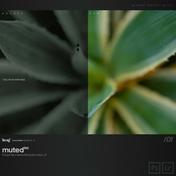 Benj™ - Deep Cinema x Muted Bundle