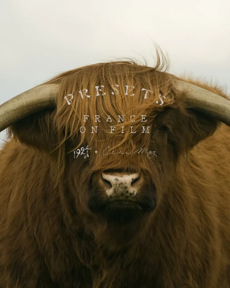 Elle May – France On Film  Presets