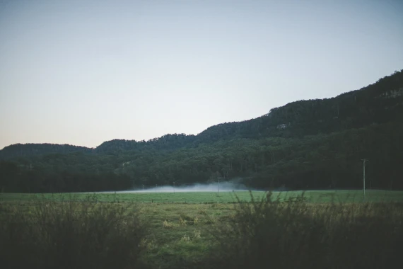 Julia Trotti - Disposable Film Lightroom Preset