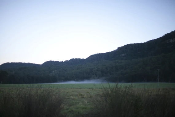 Julia Trotti - Disposable Film Lightroom Preset