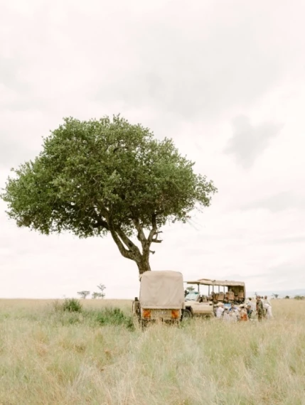 Refined - KT Merry – Color Presets + Profiles