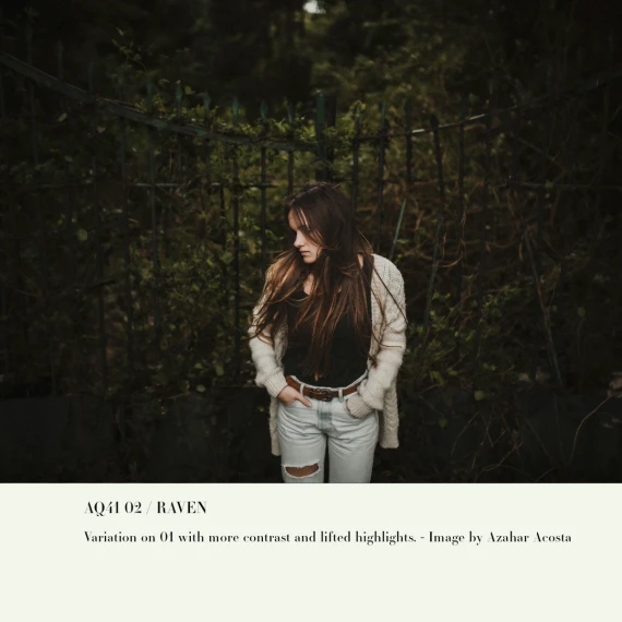 Archipelago - Quest 41 Raven Presets