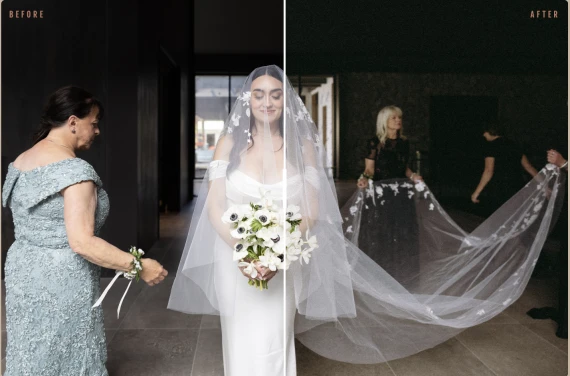 Tessa Shannon Presets - The Complete Pack Presets