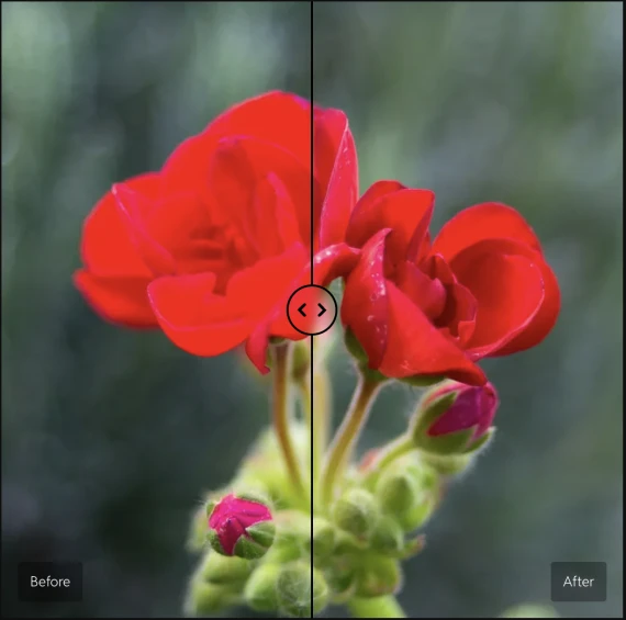 Cobalt Image Presets - The Base Pack for Adobe Presets