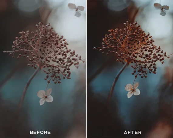 Dark Brown Preset and LUTs Collection