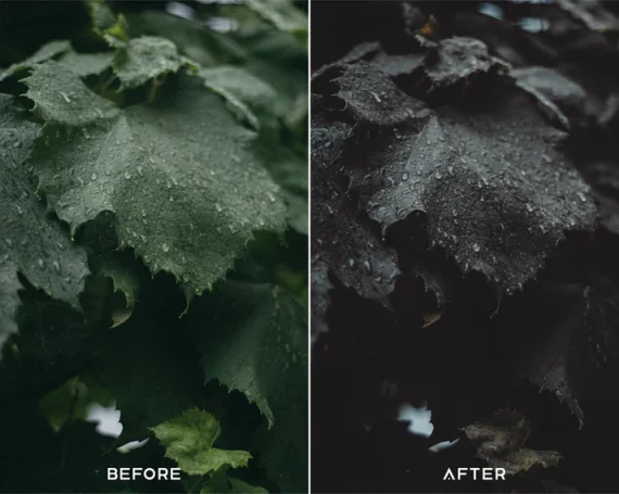 Dark Brown Preset and LUTs Collection