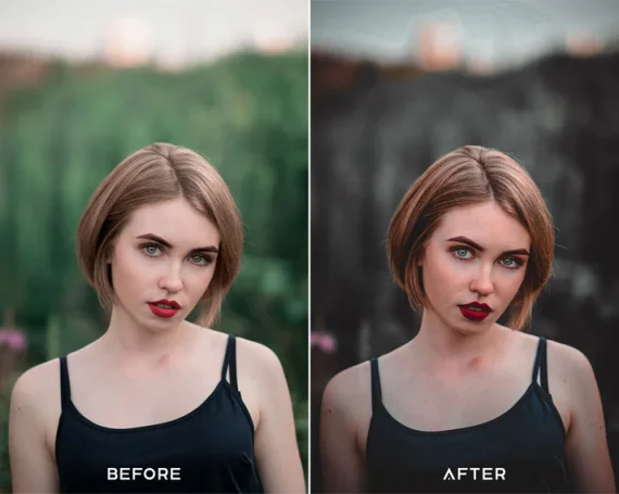 Dark Brown Preset and LUTs Collection