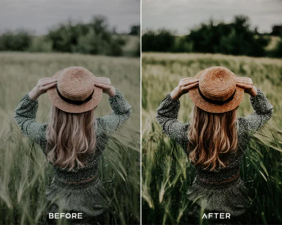 Earthy Preset and LUTs Collection