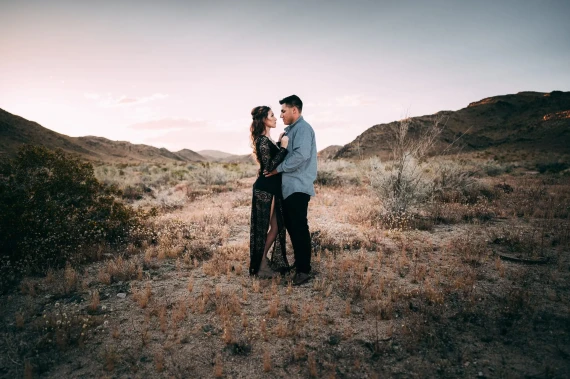 Soulmate Presets - VIBE Presets