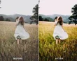 Elopement Preset and LUTs Collection