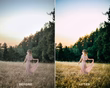 Elopement Preset and LUTs Collection