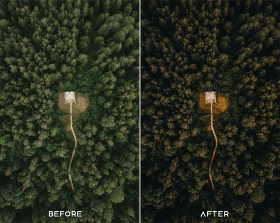 Explore Preset and LUTs Collection