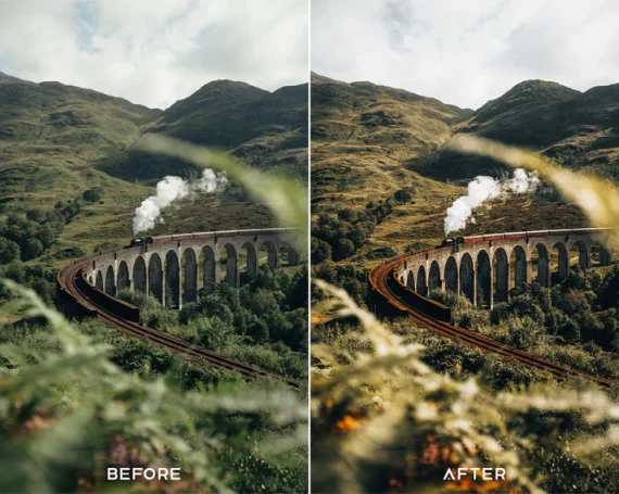 Explore Preset and LUTs Collection