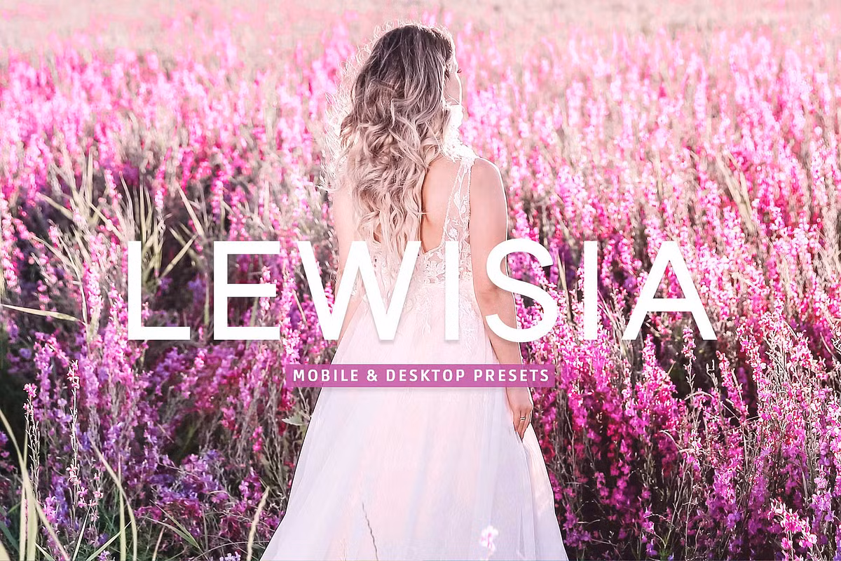 CreativeMarket – Lewisia Pro Lightroom Presets