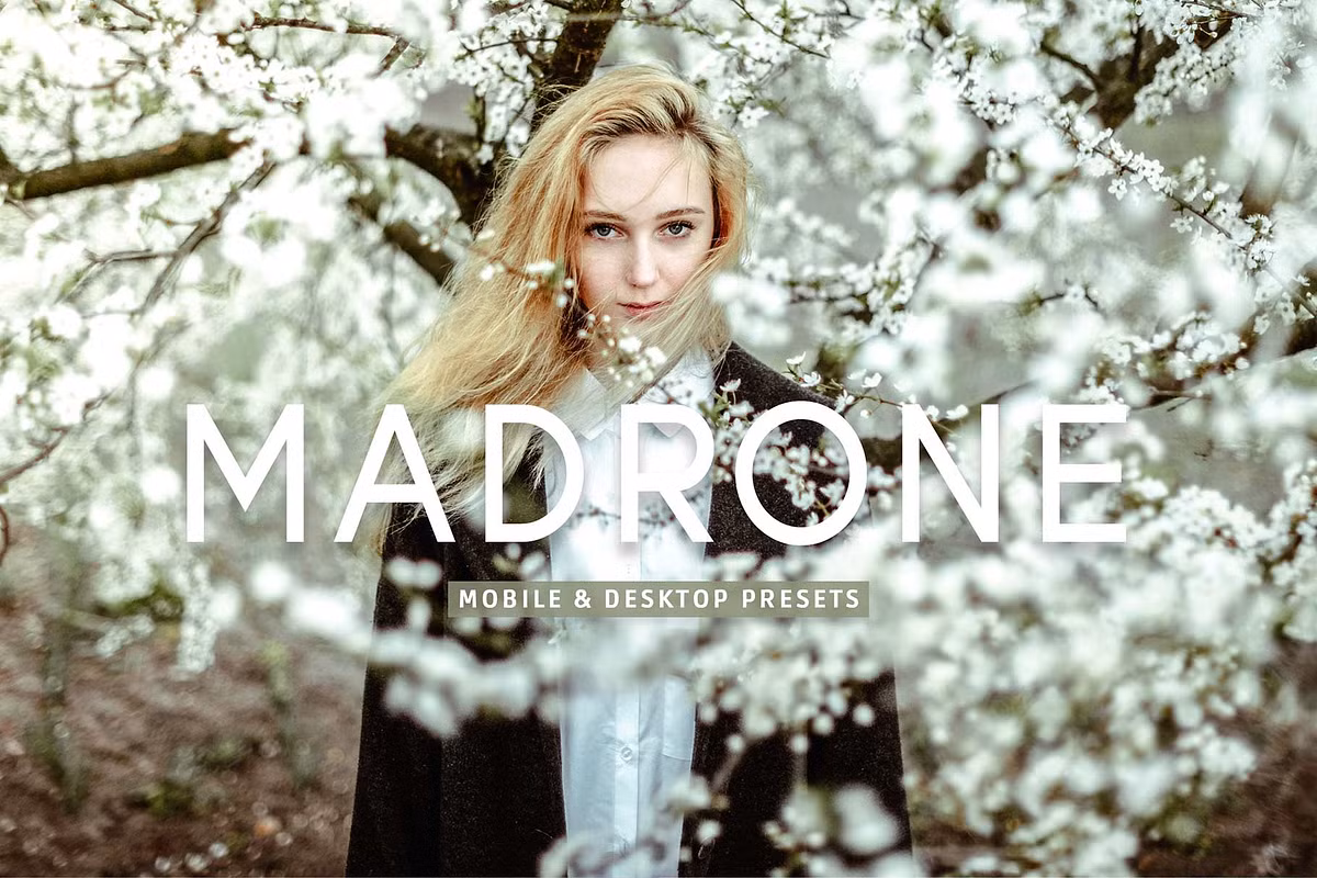 CreativeMarket – Madrone Pro Lightroom Presets