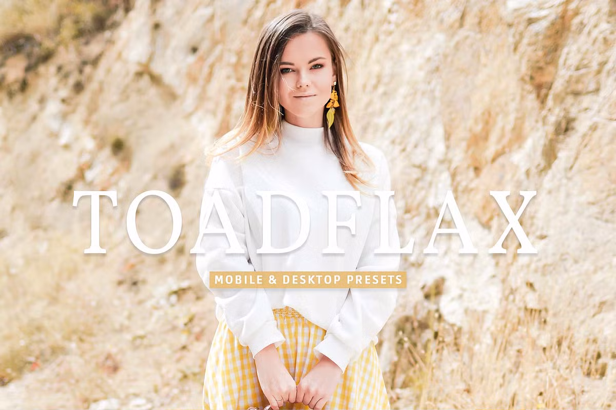 CreativeMarket - Toadflax Pro Lightroom Presets