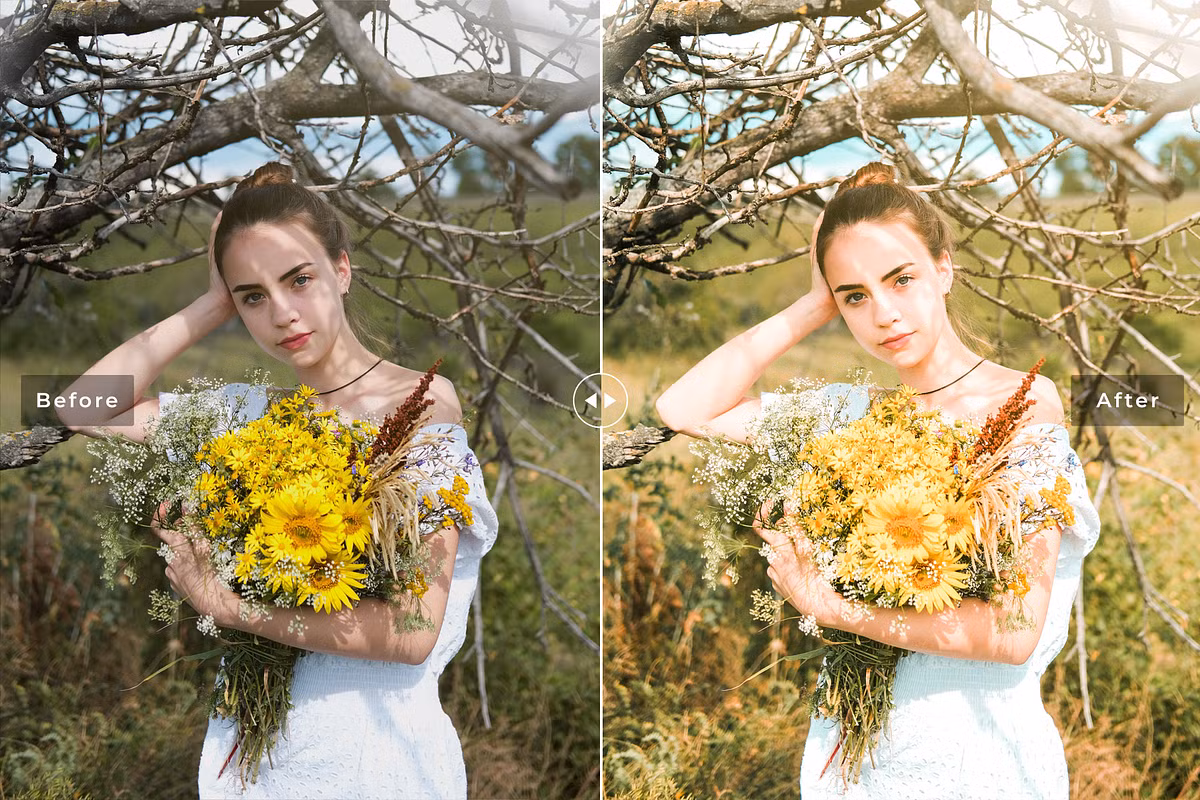 CreativeMarket - Toadflax Pro Lightroom Presets