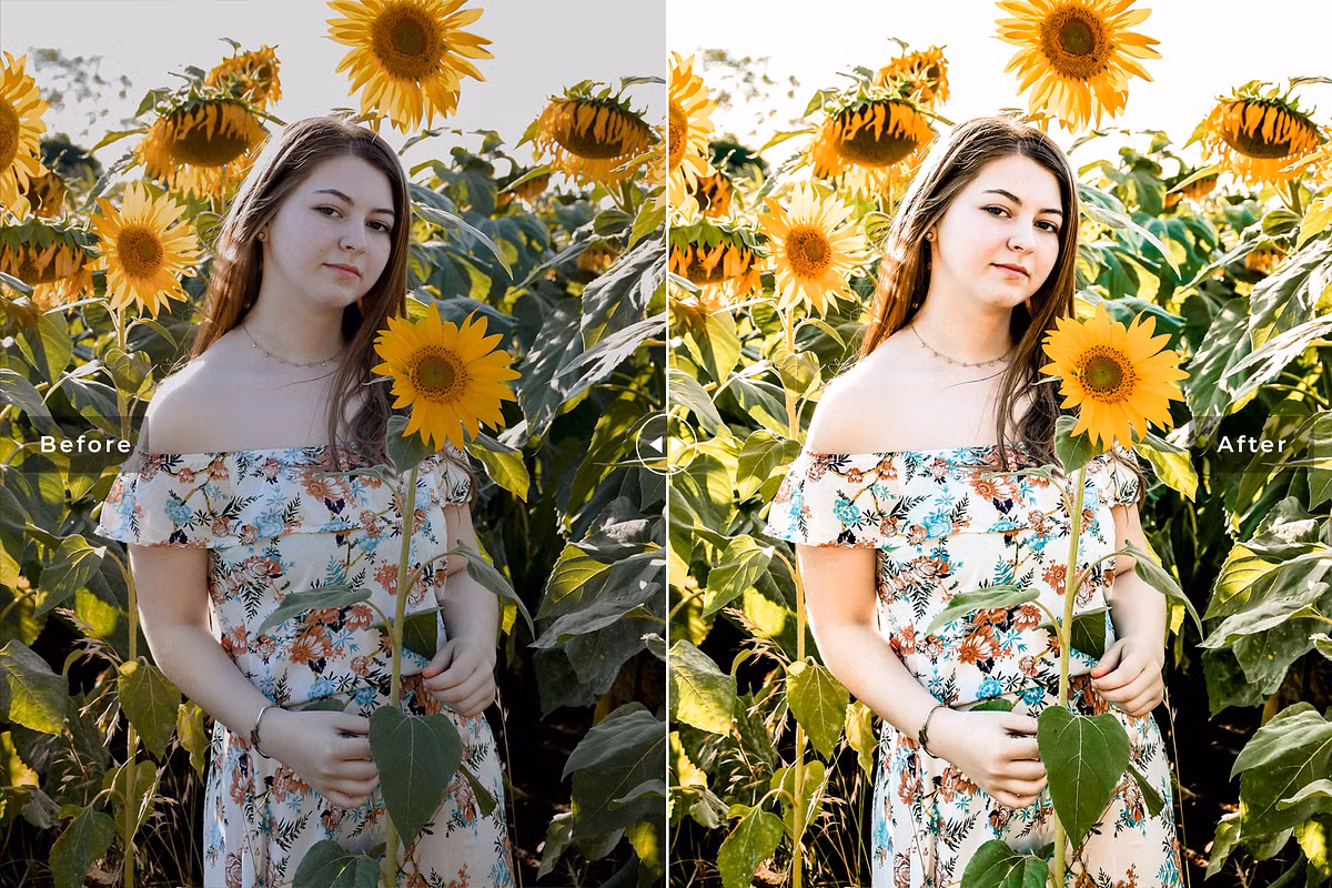 CreativeMarket - Toadflax Pro Lightroom Presets