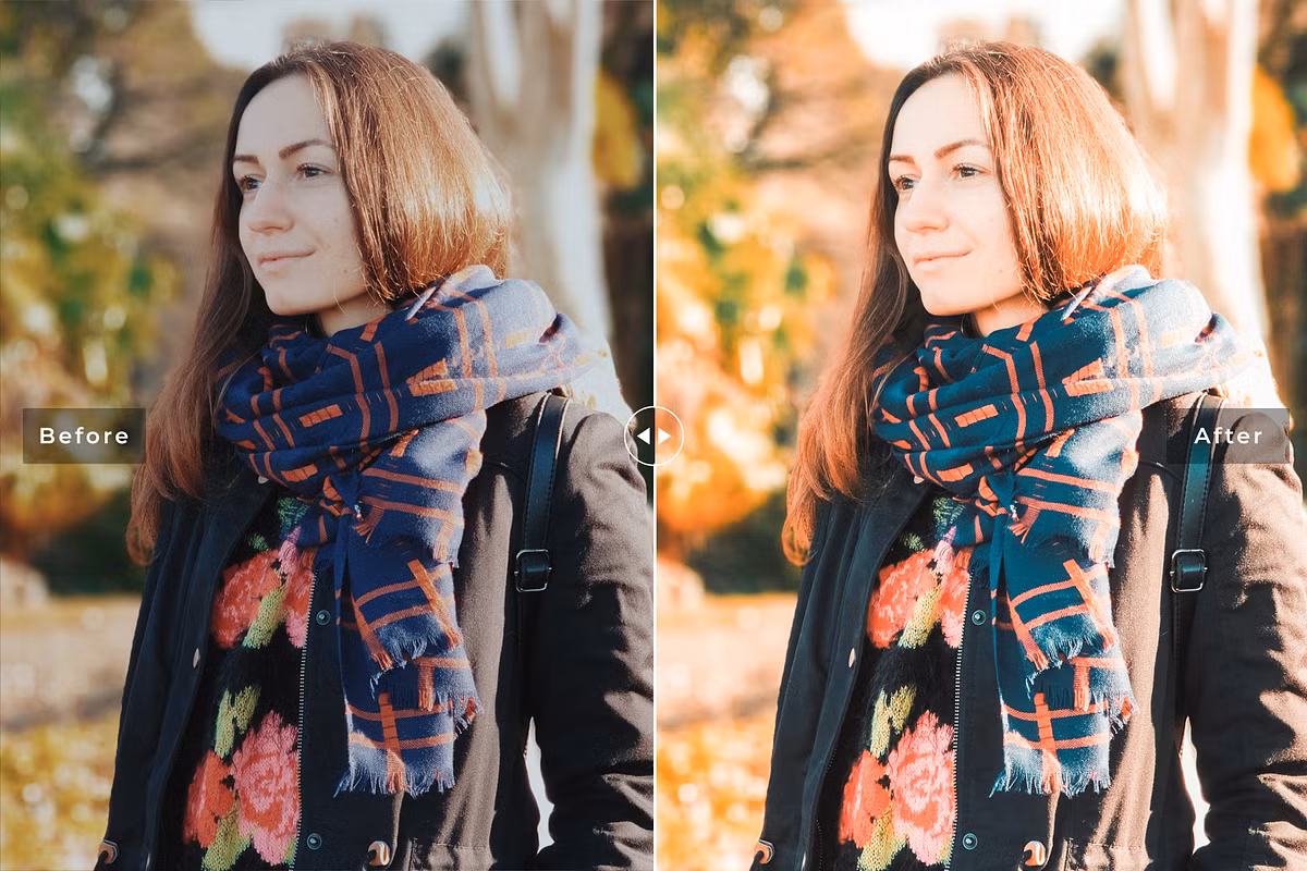 CreativeMarket - Toadflax Pro Lightroom Presets