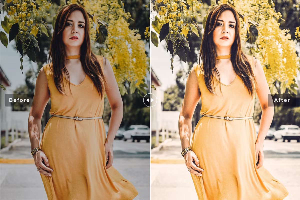 CreativeMarket - Toadflax Pro Lightroom Presets