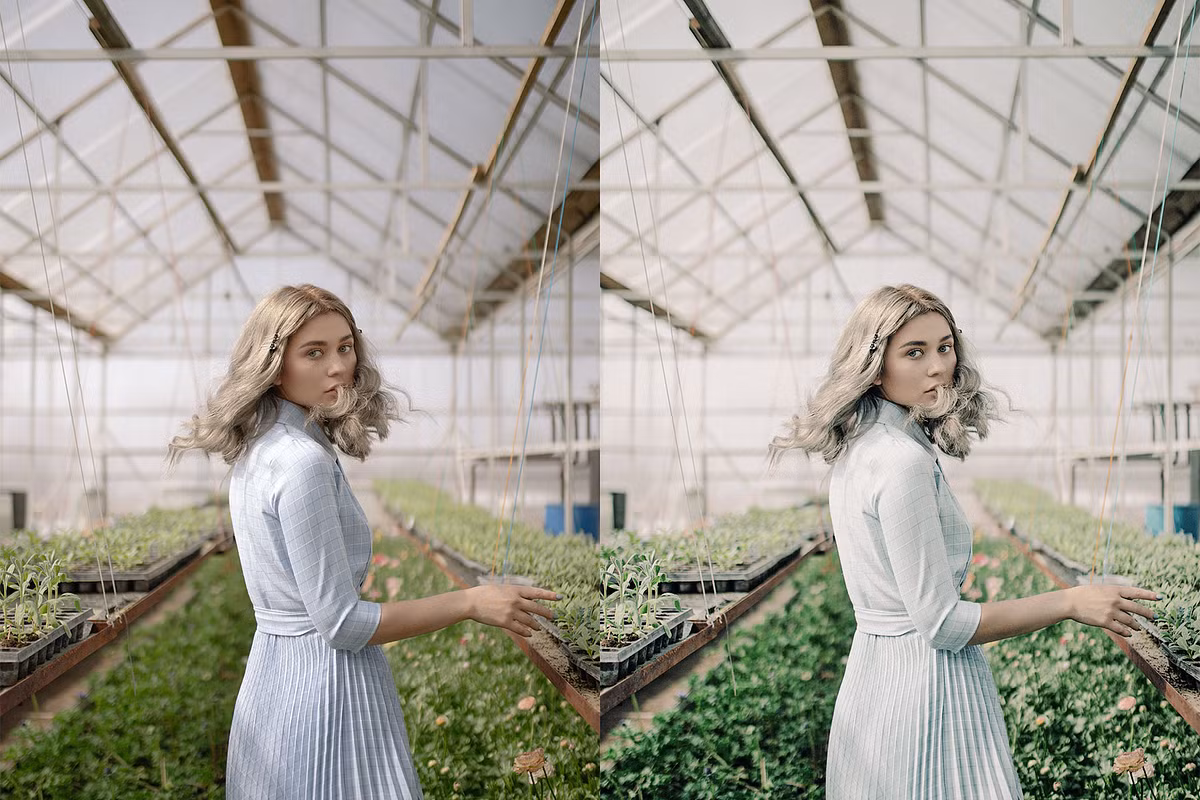 CreativeMarket – 25 Alpine Green Lightroom Presets and LUTs