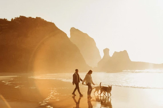 India Earl - Solis Presets