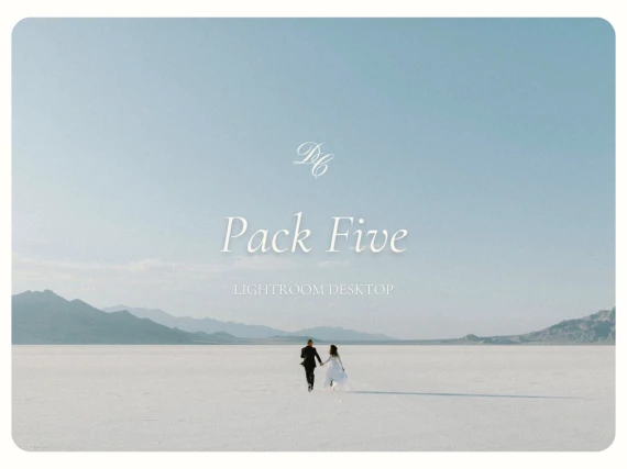 Dawn Charles - DC Presets: Pack Five