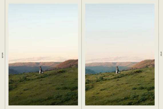 Dawn Charles - DC Presets: Pack Five